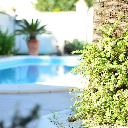 Villa Costabella Marbella